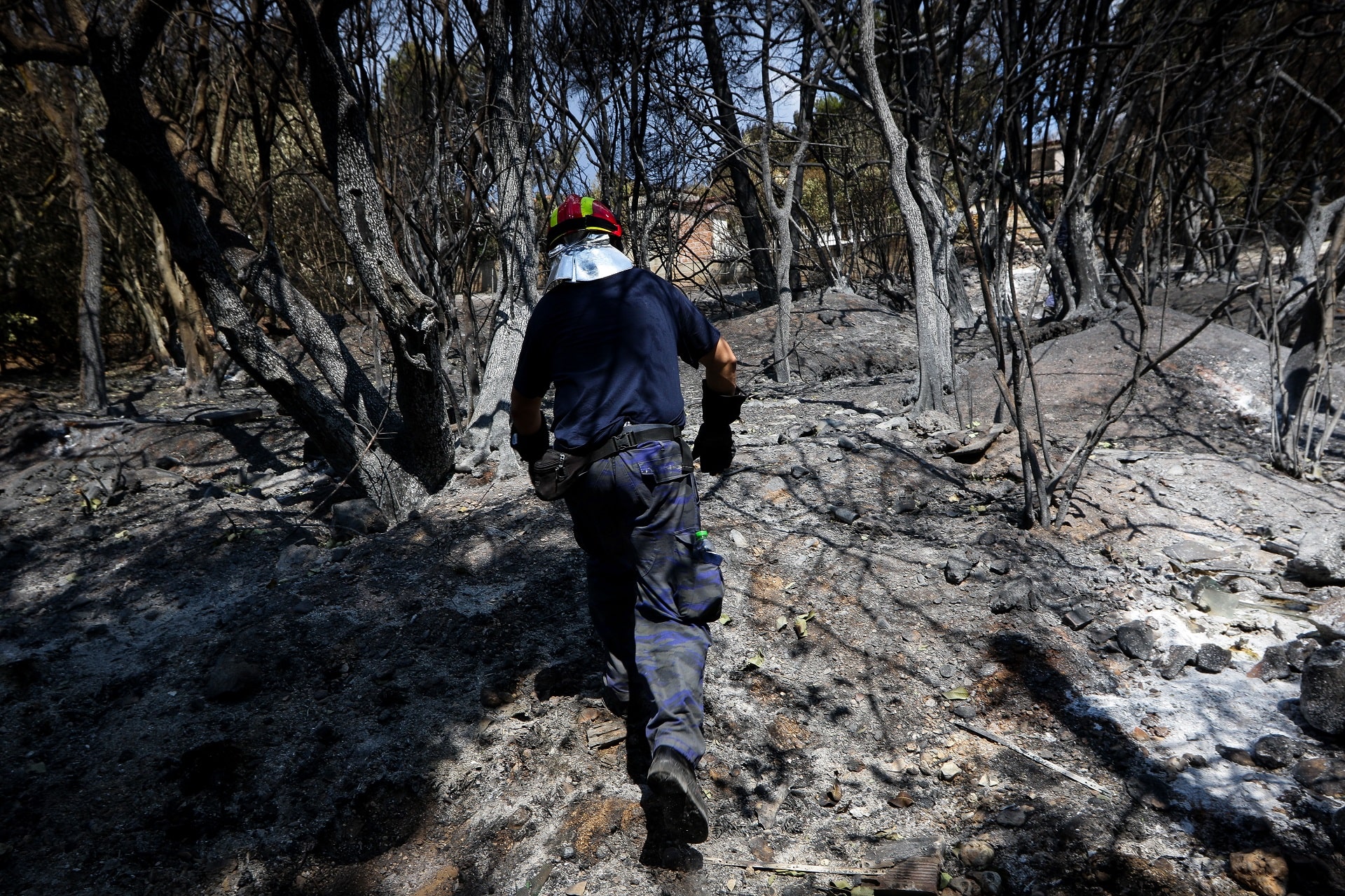 Ένα καταπράσινο πάρκο αναψυχής ως έργο πνοής στο καμένο Μάτι