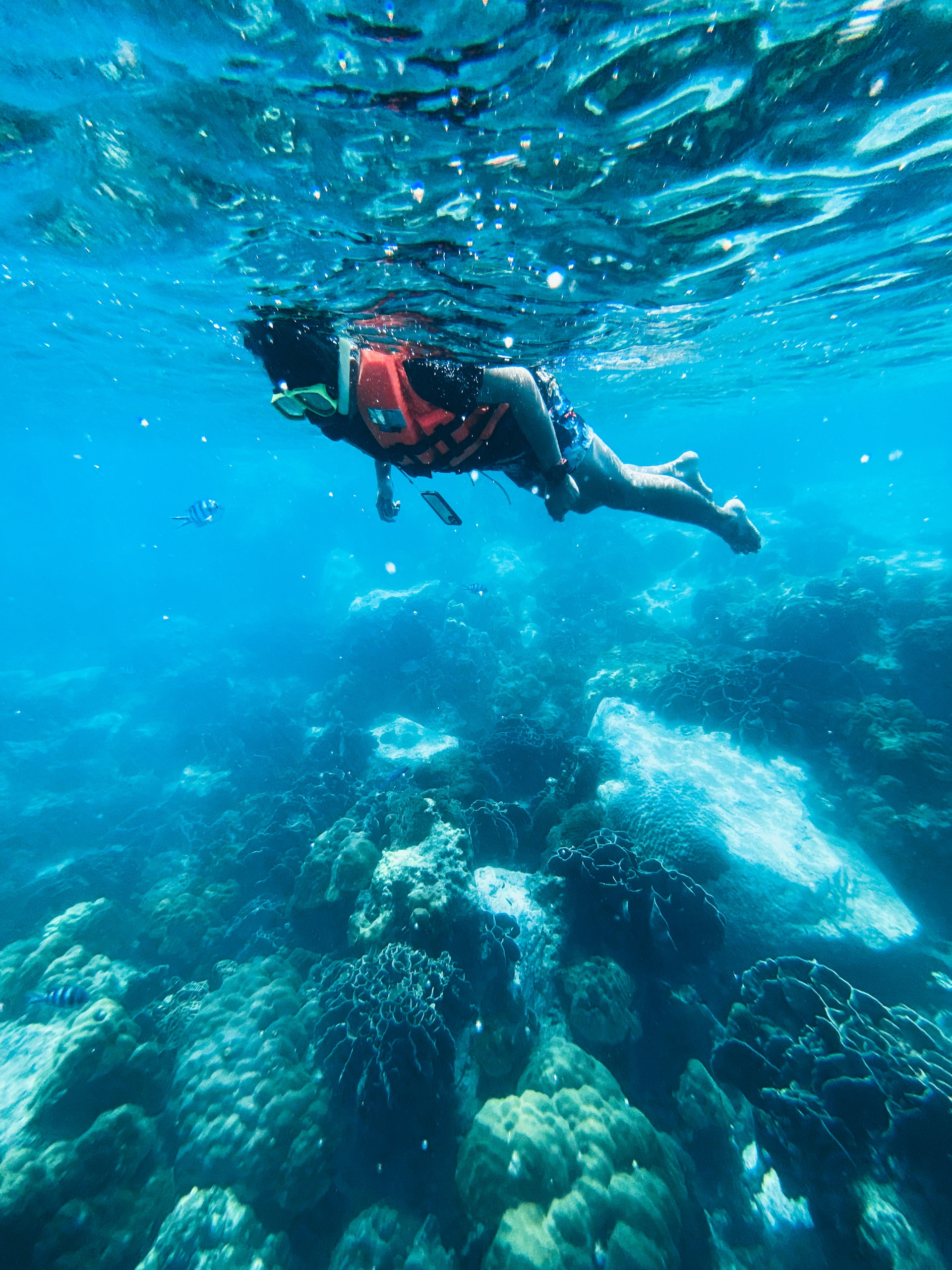 Snorkeling