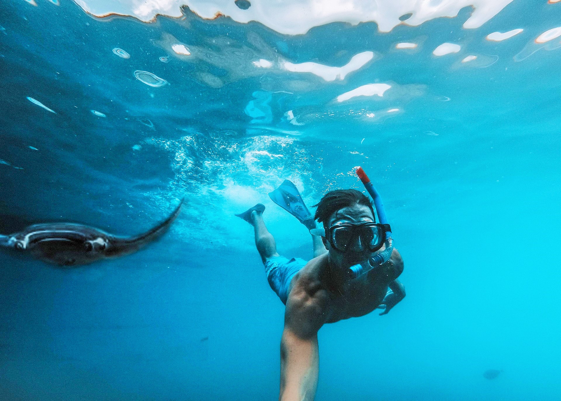 Όλα όσα πρέπει να γνωρίζεις για το snorkeling