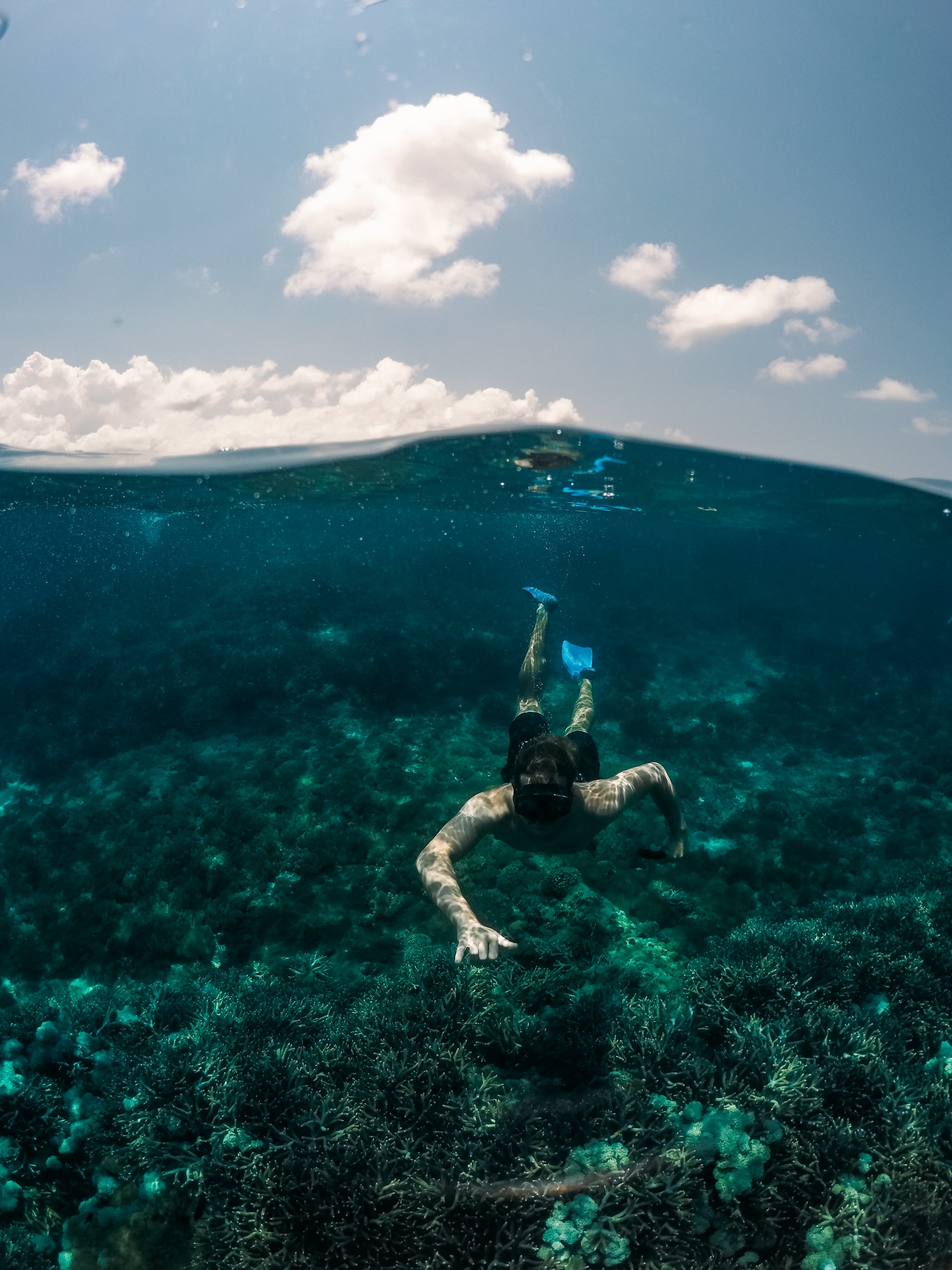 Snorkeling