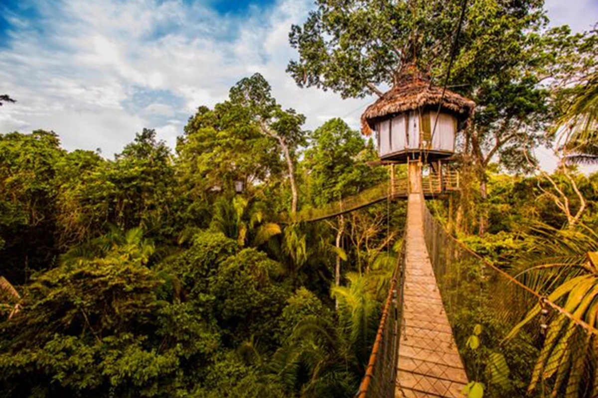 Στην καρδιά του Περουβιανού δάσους, το Treehouse Lodge αναδεικνύεται σε ένα πραγματικό καταφύγιο, στο οποίο οι τυχεροί κοιμούνται με θέα τα δέντρα του δάσους, περπατούν έχοντας μαϊμουδάκια στην παρέα και πουλάκια να δίνουν μελωδία στην ημέρα τους