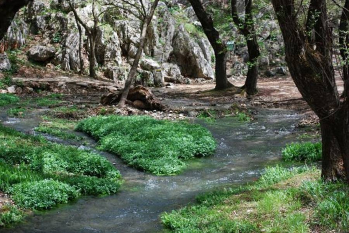 Πρόκειται για ένα εθνικό πάρκο που ακολουθεί τον ρυθμό που θέτουν οι εναλλαγές του καιρού, όσο η γεωμορφολογία του εδάφους και το υψομετρικό εύρος κάνουν το δικό τους επιβλητικά όμορφο παιχνίδι τους.