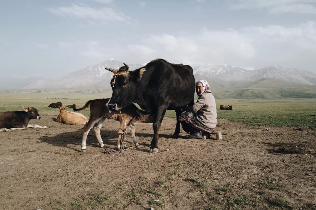 Οι φωτογραφίες που ξεχώρισαν στα Sony World Photography Awards - 10 εντυπωσιακά κλικ