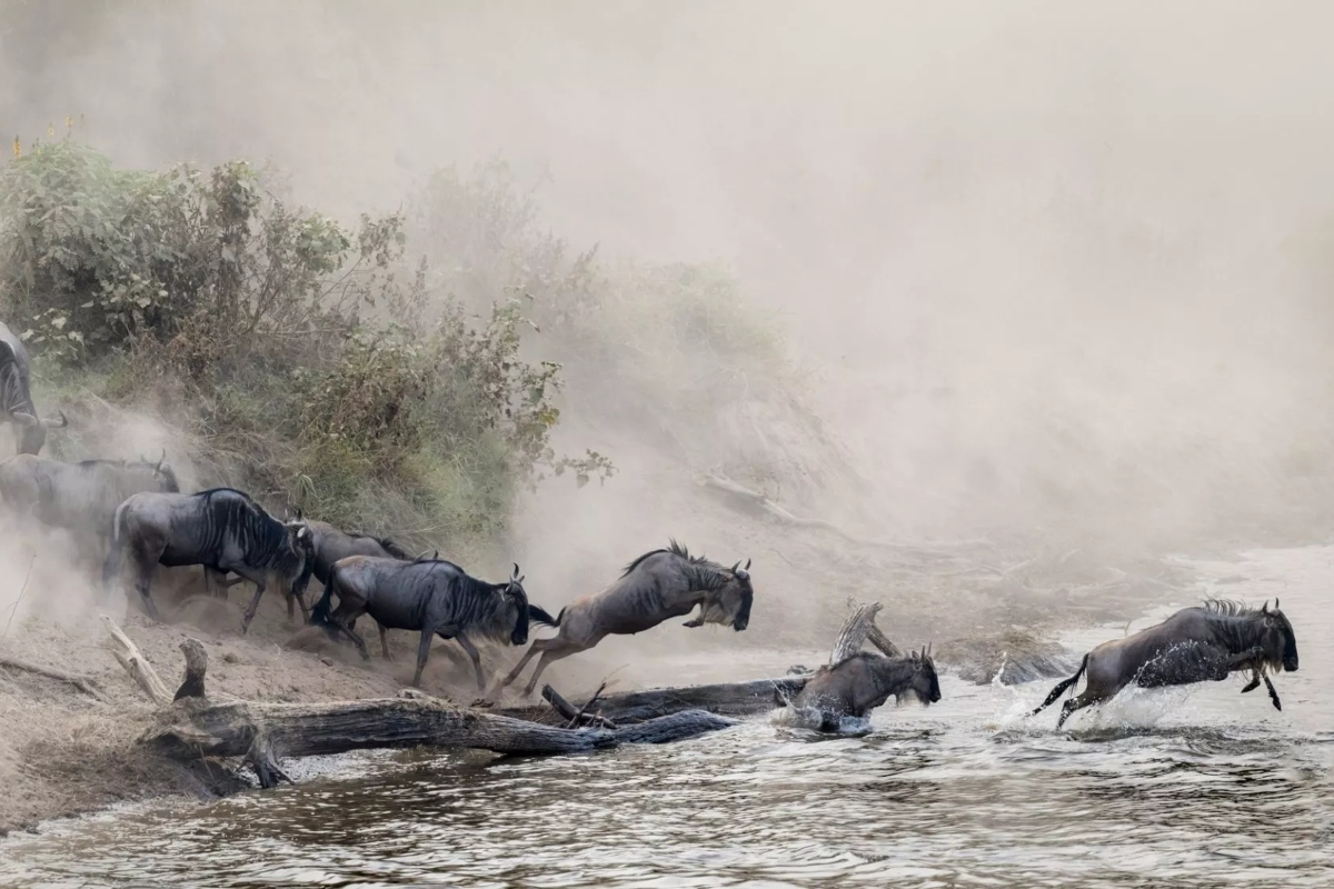 Οι φωτογραφίες που ξεχώρισαν στα Sony World Photography Awards - 10 εντυπωσιακά κλικ