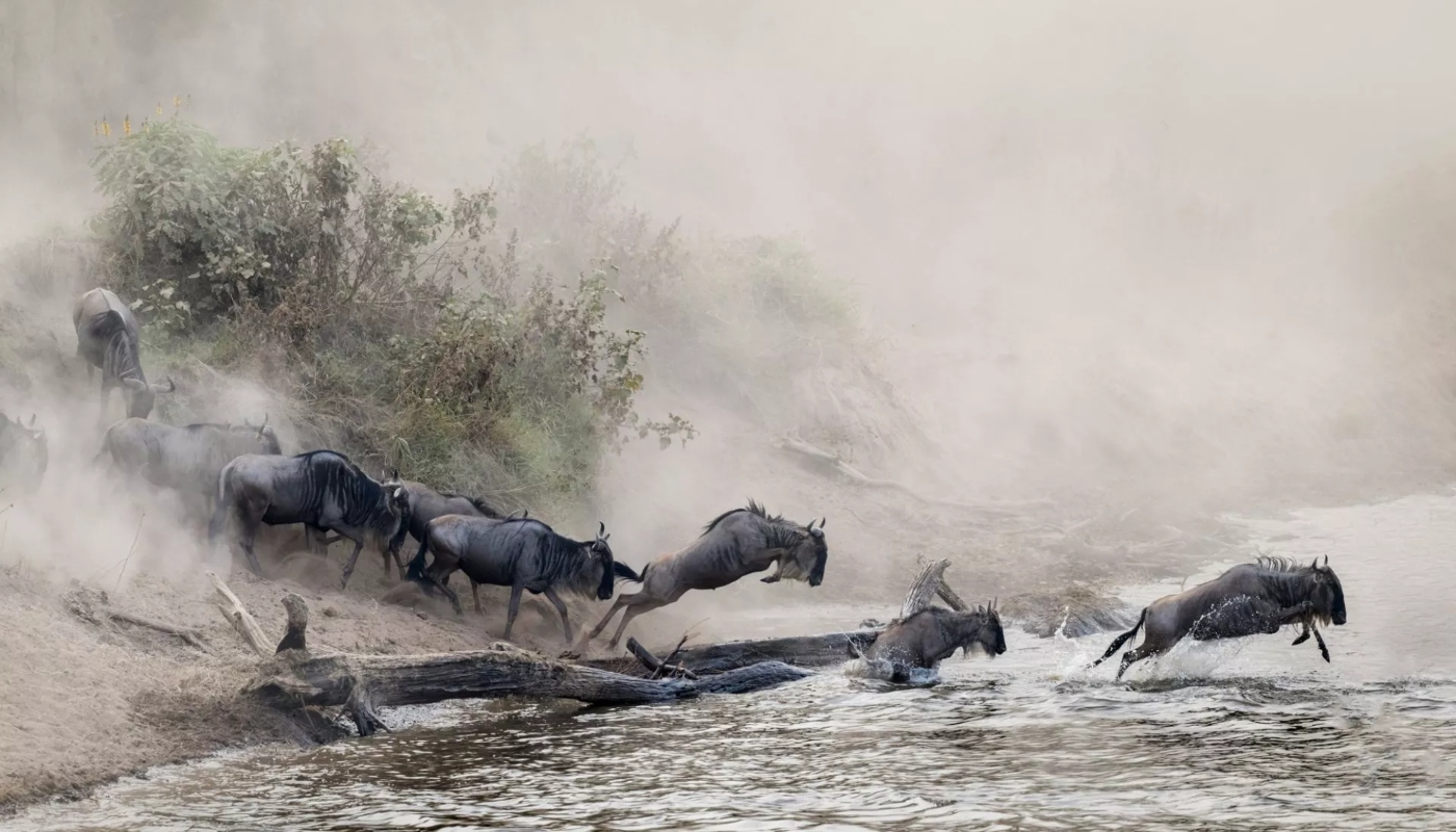 Οι φωτογραφίες που ξεχώρισαν στα Sony World Photography Awards – 10 εντυπωσιακά κλικ