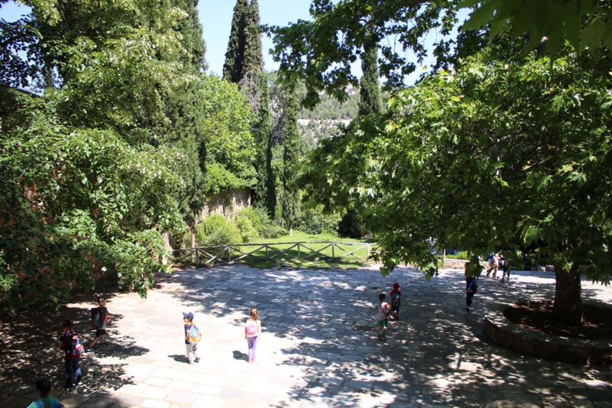 Ο Βοτανικός Κήπος της Φιλοδασικής παρουσιάζει πολλά στοιχεία των μεσογειακών οικοσυστημάτων.