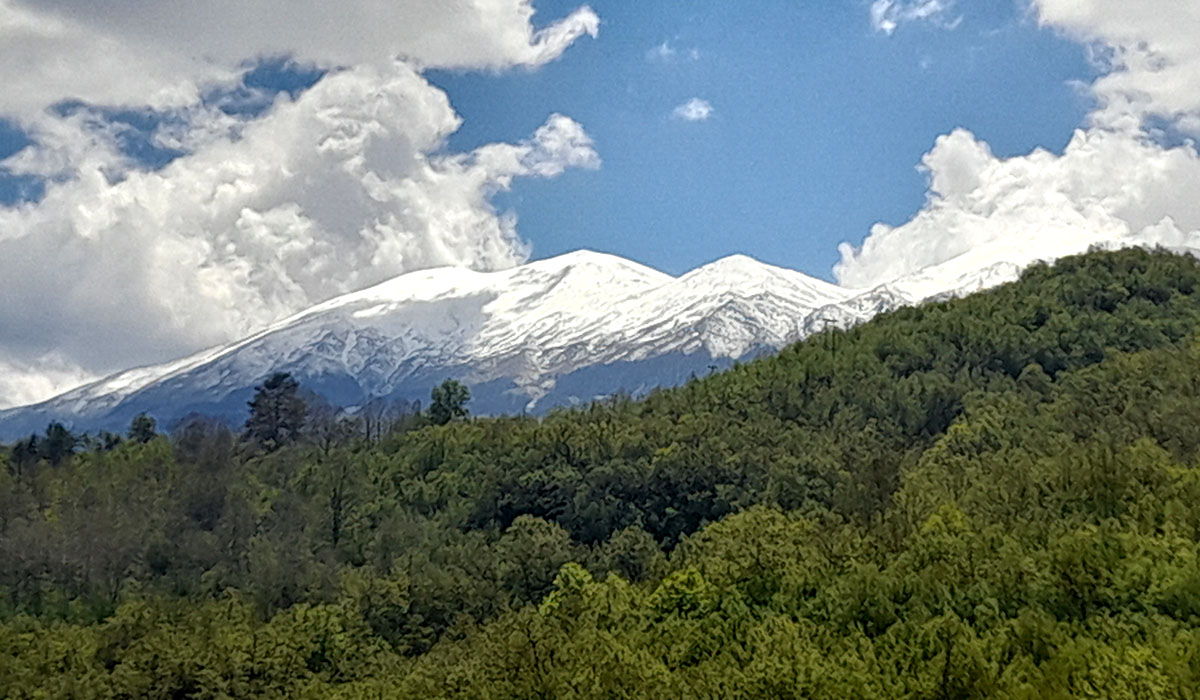 Φαλακρό όρος