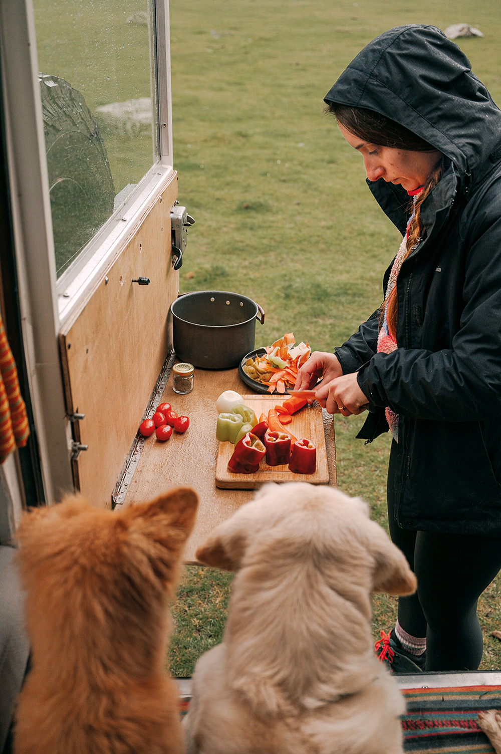 vanlife cooking