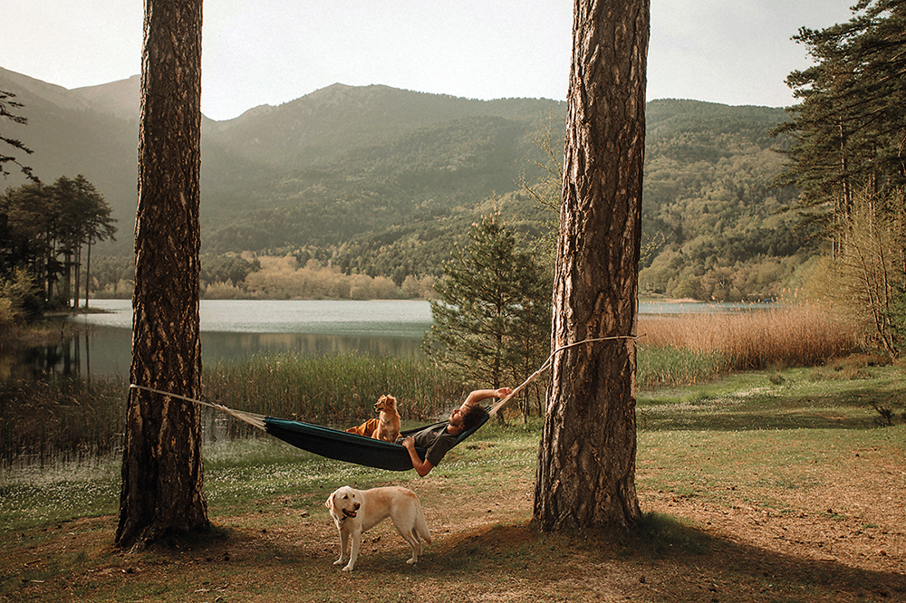 vanlife sleeping in nature