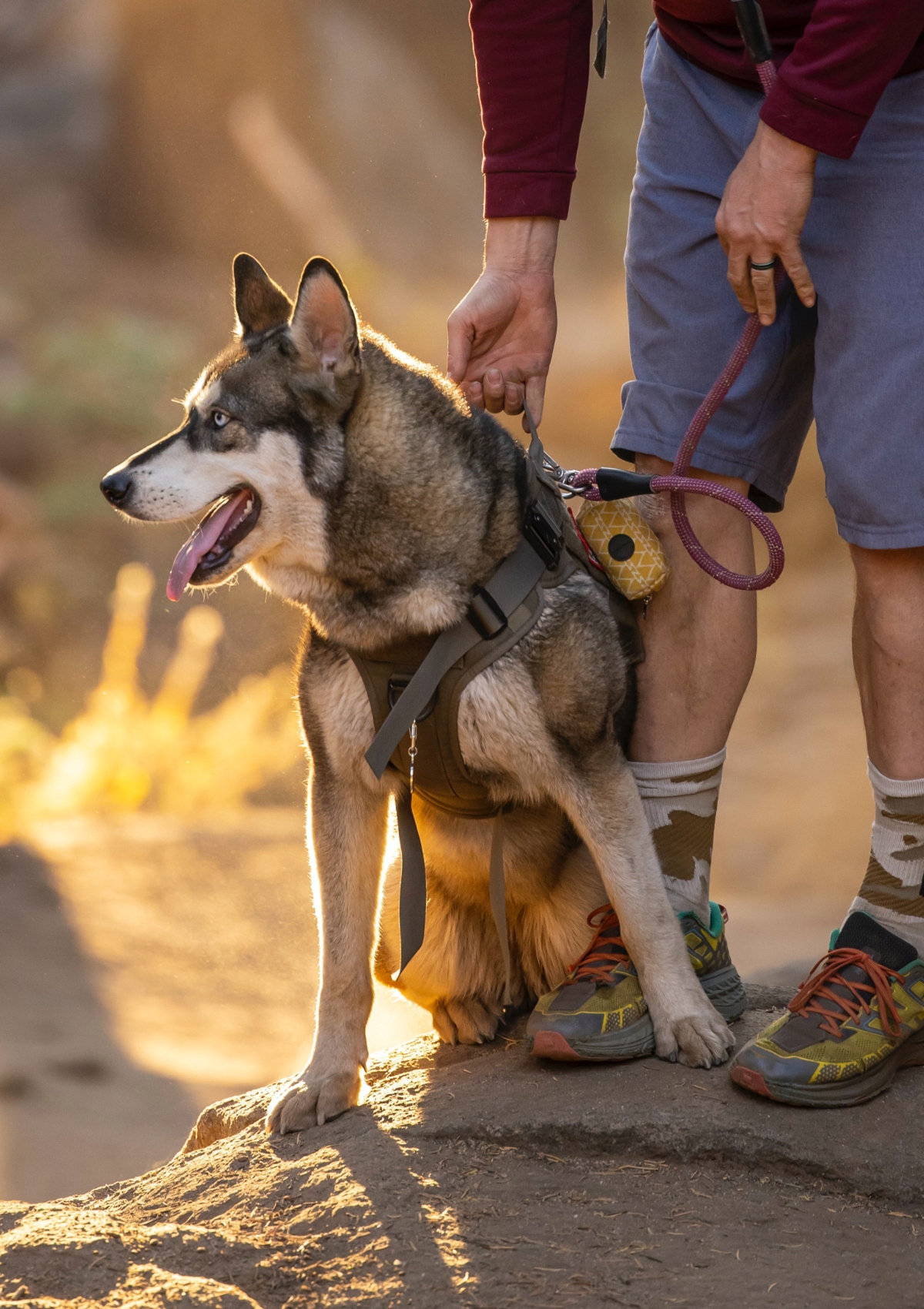 σκυλος hiking